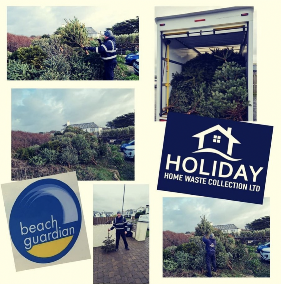 Christmas tree replanting with Beach Guardian